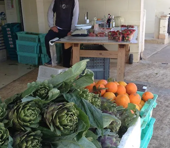 Secco's Seaview ホームステイ L-Imgarr