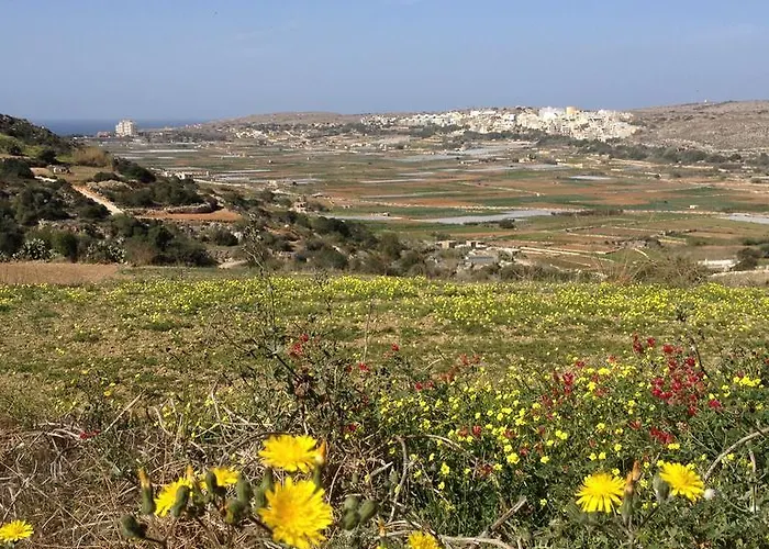 Secco's Seaview L-Imgarr